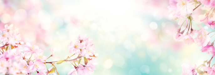 长江证券大庆东风路营业部位置在哪？