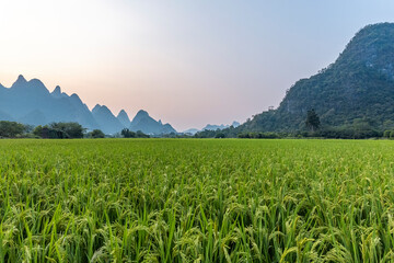东风菱智m3车速传感器在什么位置示意