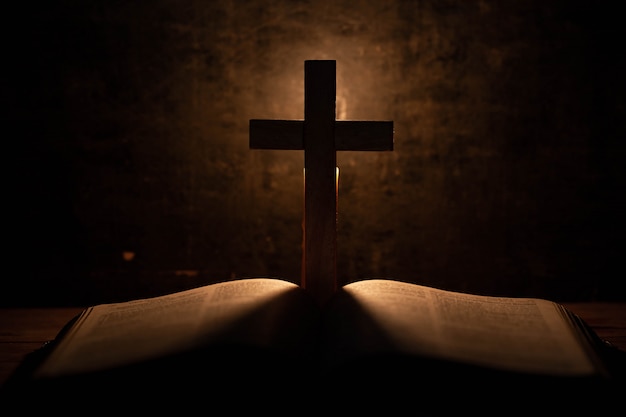 国内离心泵十 大品牌？