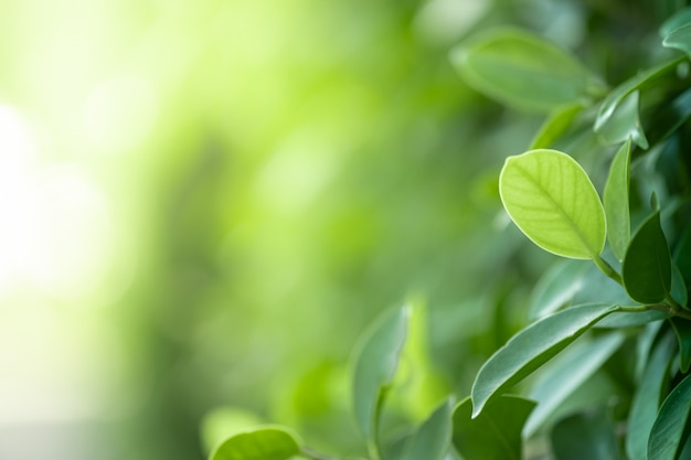 东风菱智m3车速传感器在什么位置示意